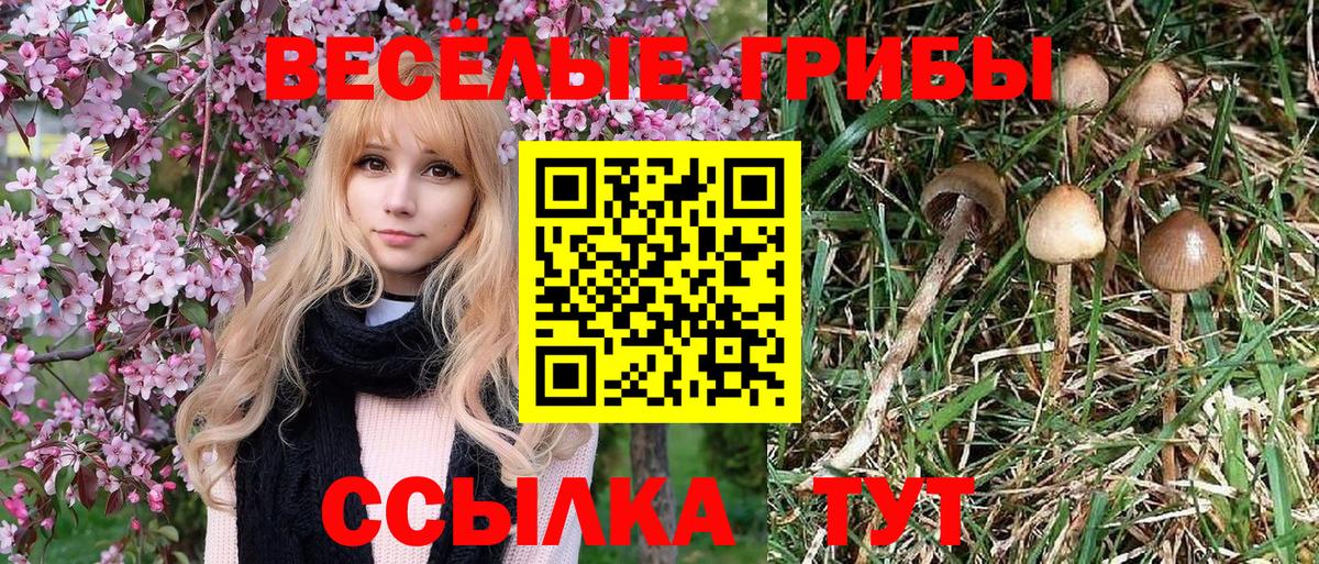 Псилоцибиновые грибы ЛСД  Вход с VPN  Тавда 
